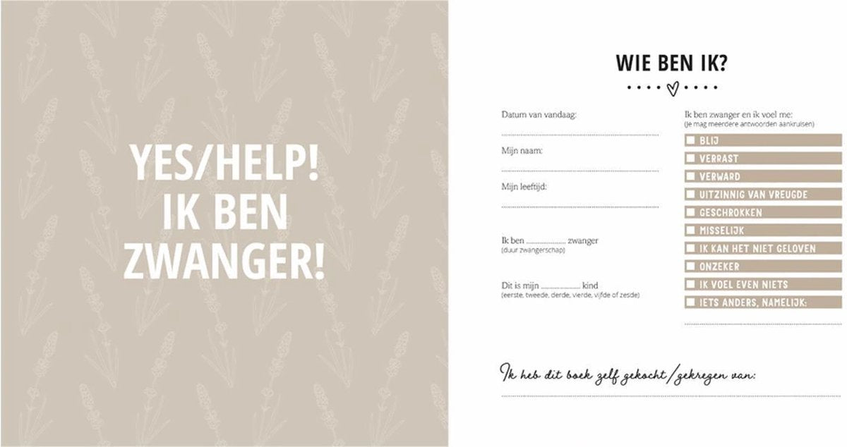 Van Baby Tot Dreumes Invulboek | Mijn Negen Maanden Van Baby Tot Dreumes Invulboek | Mijn Negen Maanden