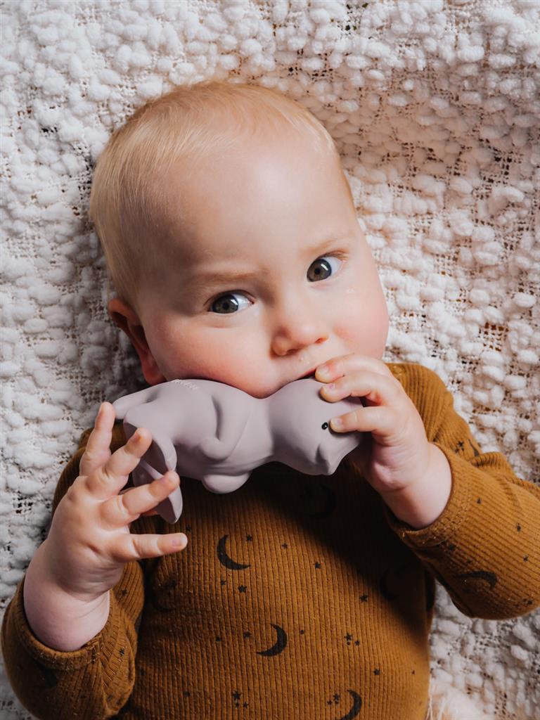 * Tikiri Mijn Eerste Dinosaurus / Para 9,5cm | Natuurlijk Rubber * Tikiri Mijn Eerste Dinosaurus / Para 9,5cm | Natuurlijk Rubber