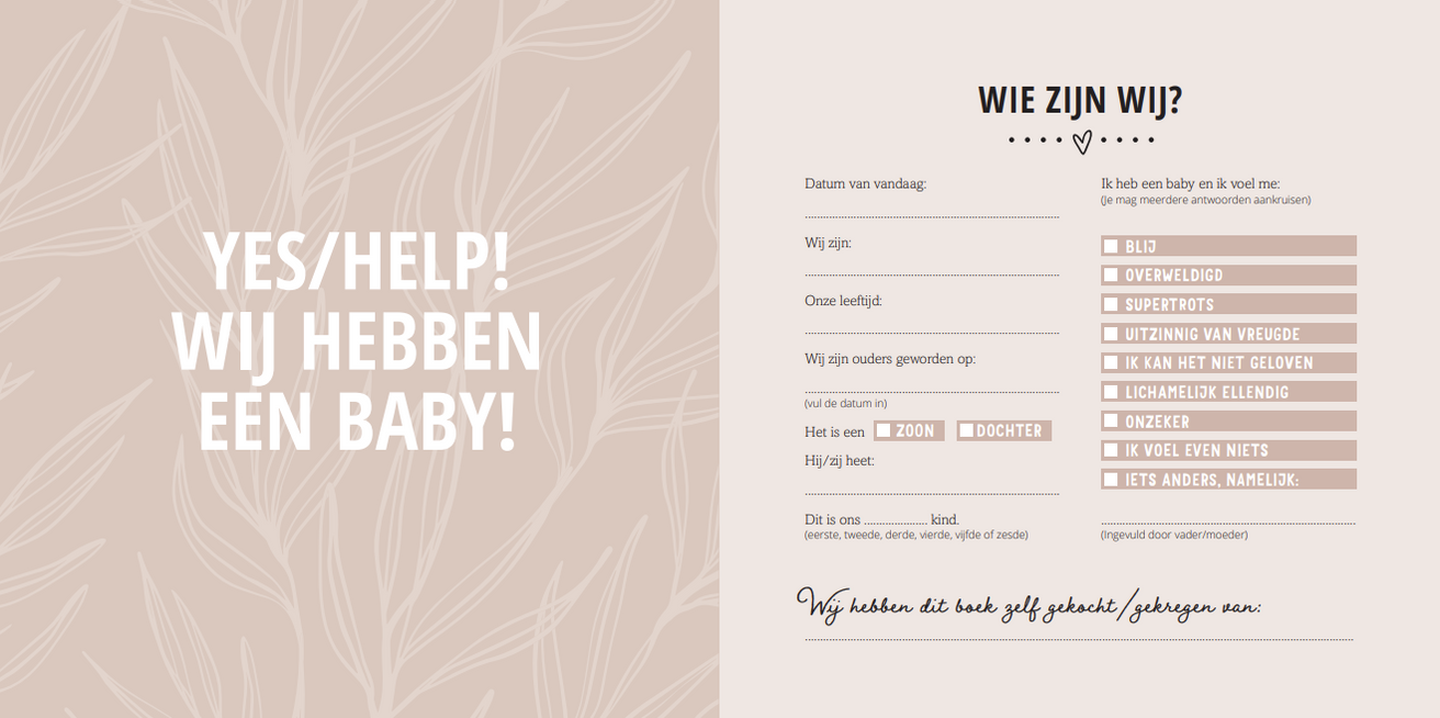 Van Baby Tot Dreumes Invulboek | Mijn Eerste Jaar Van Baby Tot Dreumes Invulboek | Mijn Eerste Jaar