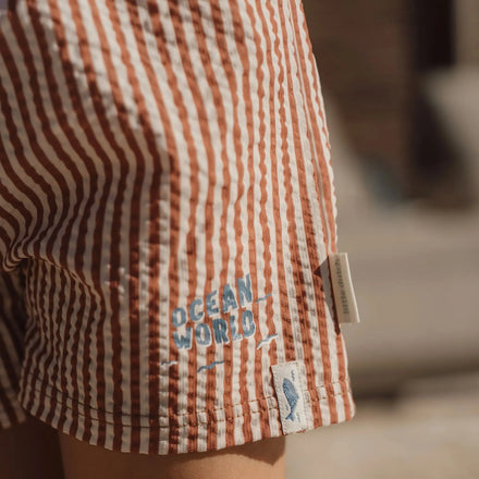 * Little Dutch Zwembroek | Ocean Brown Stripes