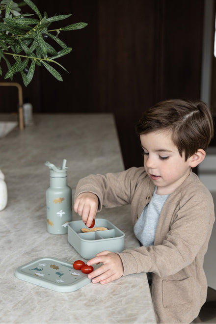 Kidzroom Brooddoos Met Verdeelvakje | Small Talk Green Dino