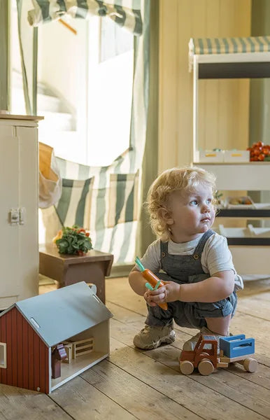 Kid's Concept Boerderij Dieren Aiden