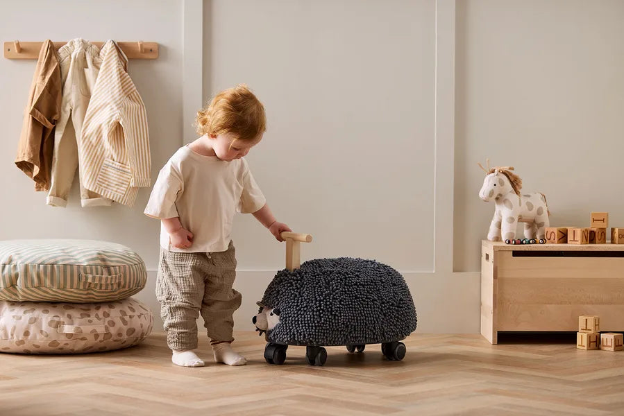 Kid's Concept Ride Along Hedgehog Edvin