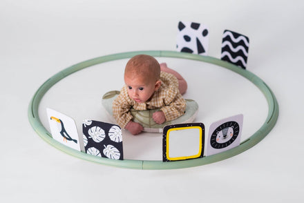 Taf Toys Tummy Time Trainer