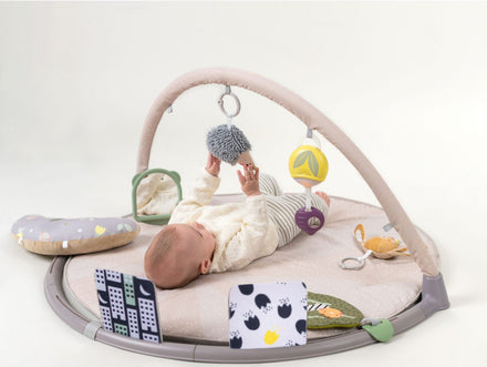 Taf Toys Tummy Time Activity Gym