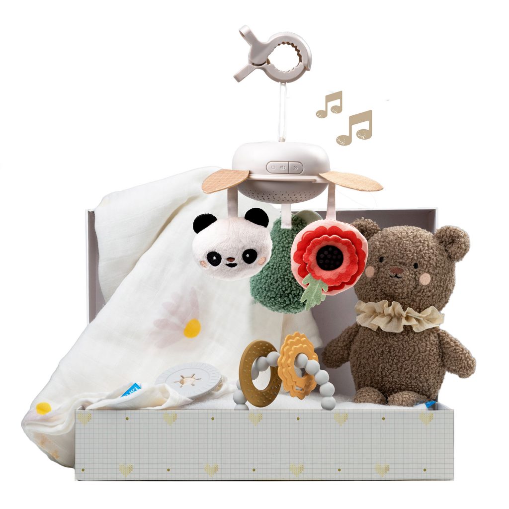 Taft Toys Newborn Luxury Gift Met Baby Speeltjes