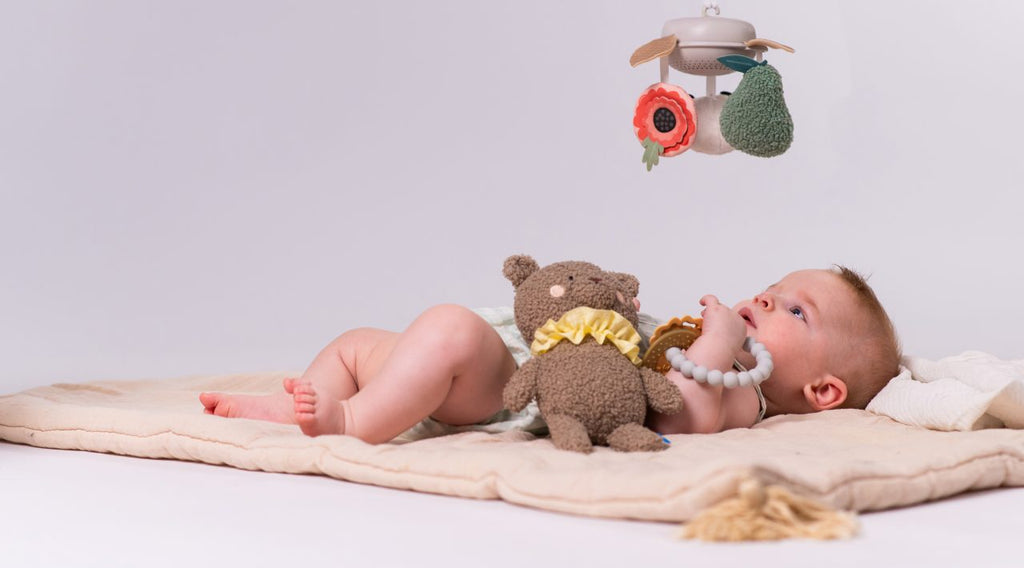 Taft Toys Newborn Luxury Gift Met Baby Speeltjes