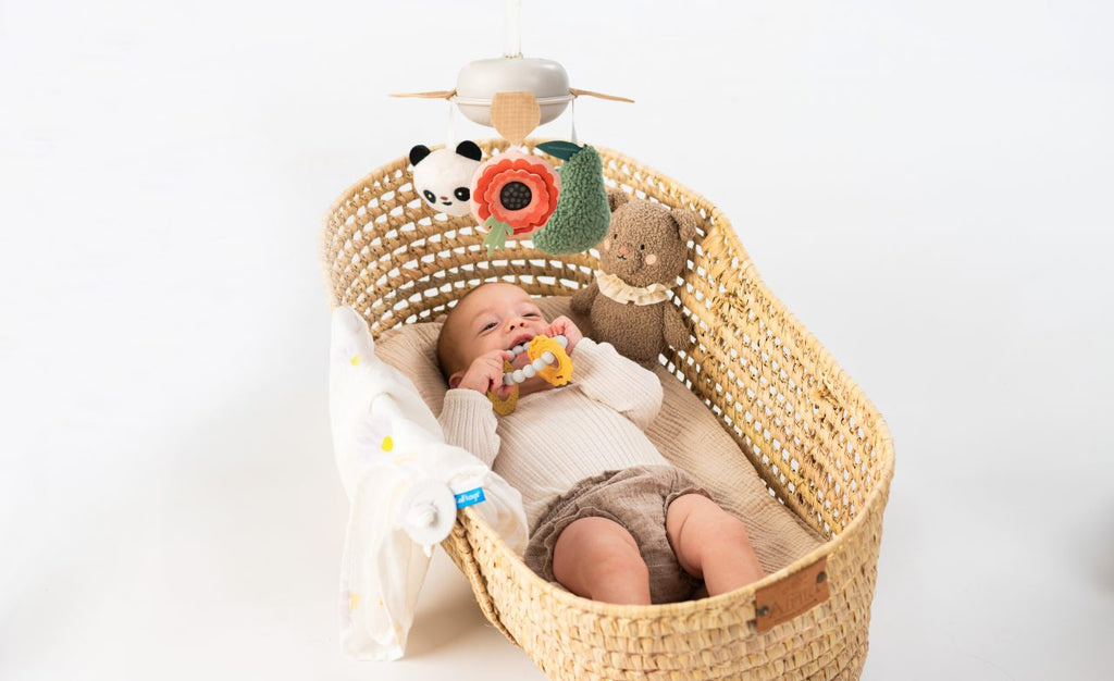 Taft Toys Newborn Luxury Gift Met Baby Speeltjes