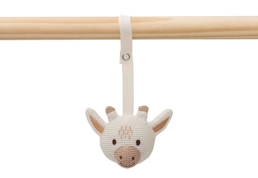 Jollein Babygym Speeltjes | Animals