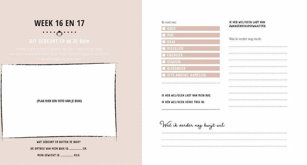 Van Baby Tot Dreumes Invulboek | Mijn Negen Maanden