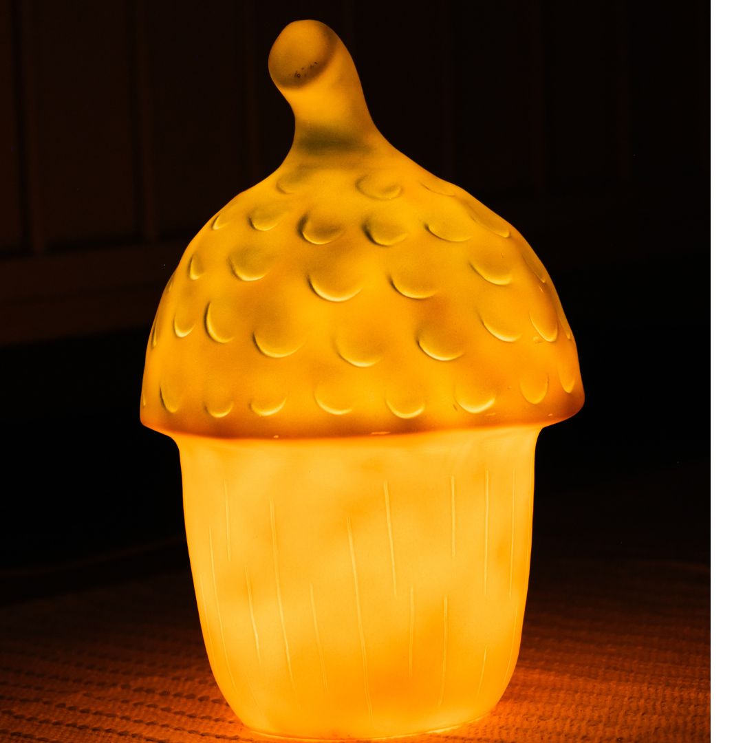 Egmont Toys Nachtlamp Acorn Terra
