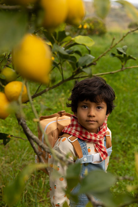 Sticky Lemon Rugzakje Small | Farmhouse Envelope Pear Jam