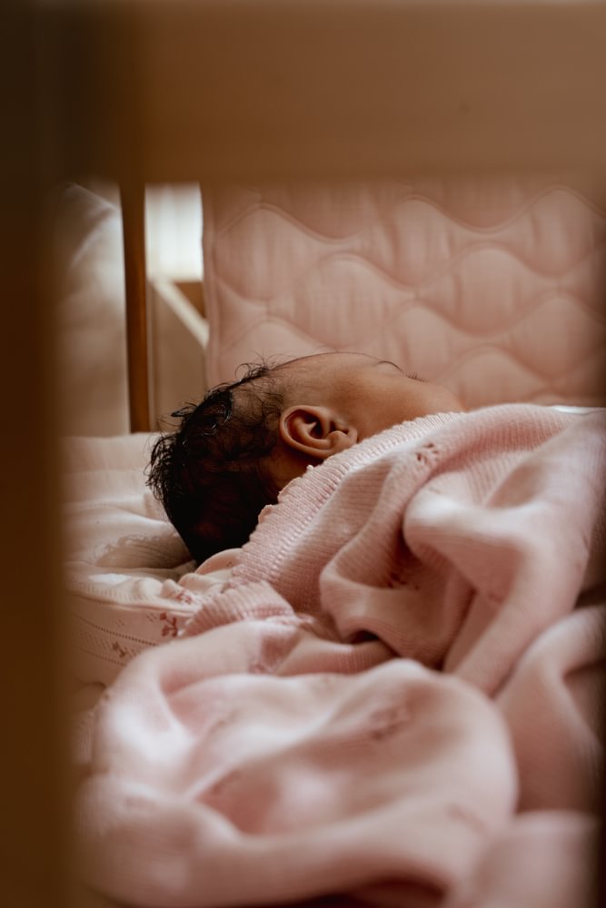 Little Dutch Boxomrander | Pure Blossom