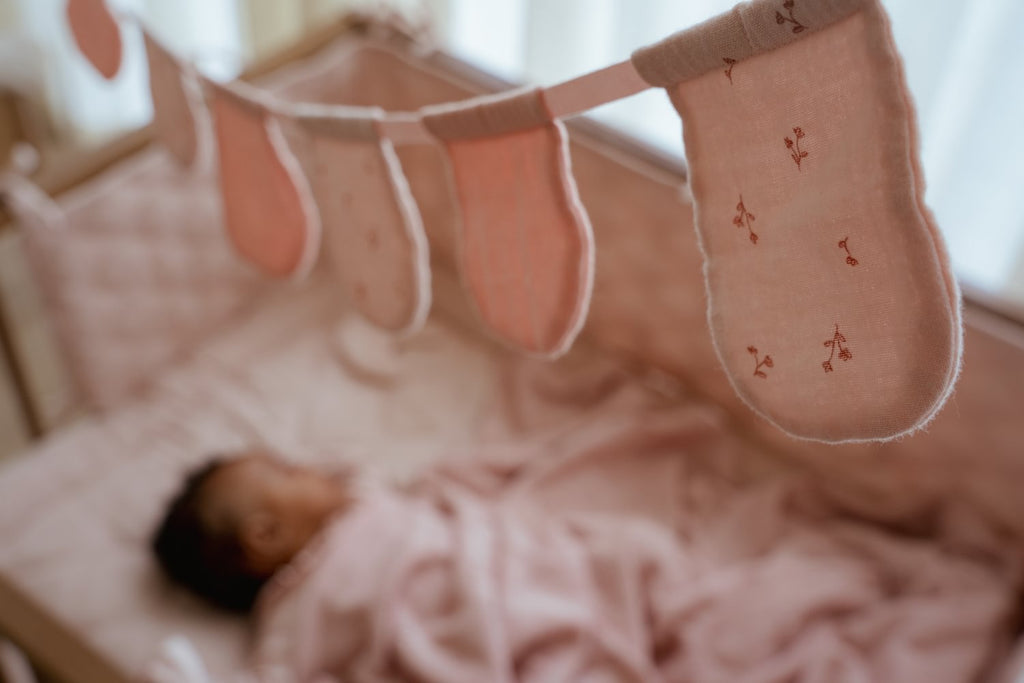 Little Dutch Boxomrander | Pure Blossom