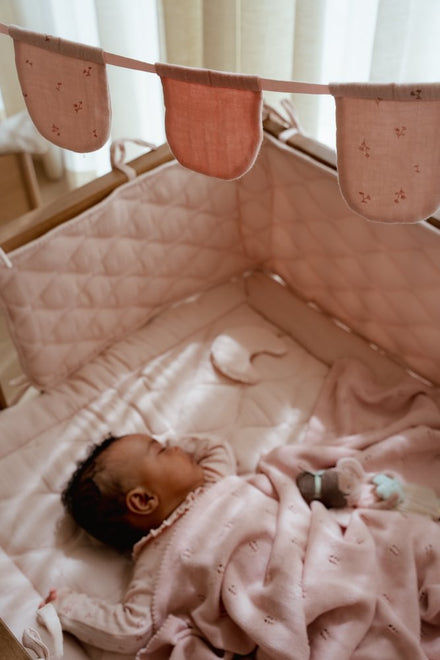 Little Dutch Boxomrander | Pure Blossom