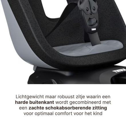 Thule Yepp Nexxt 2 Maxi Fietszitje Fietsstoel Achterop Bagagedrager Montage I Monument Grey