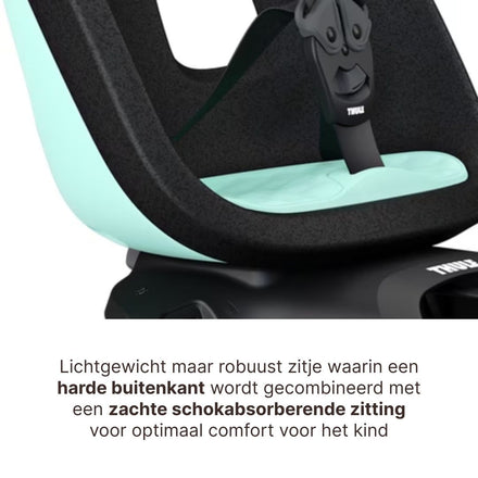 Thule Yepp Nexxt 2 Maxi Fietszitje Fietsstoel Achterop Bagagedrager Montage I Mint Green