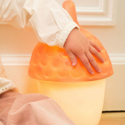 Egmont Toys Nachtlamp Acorn Red Brick