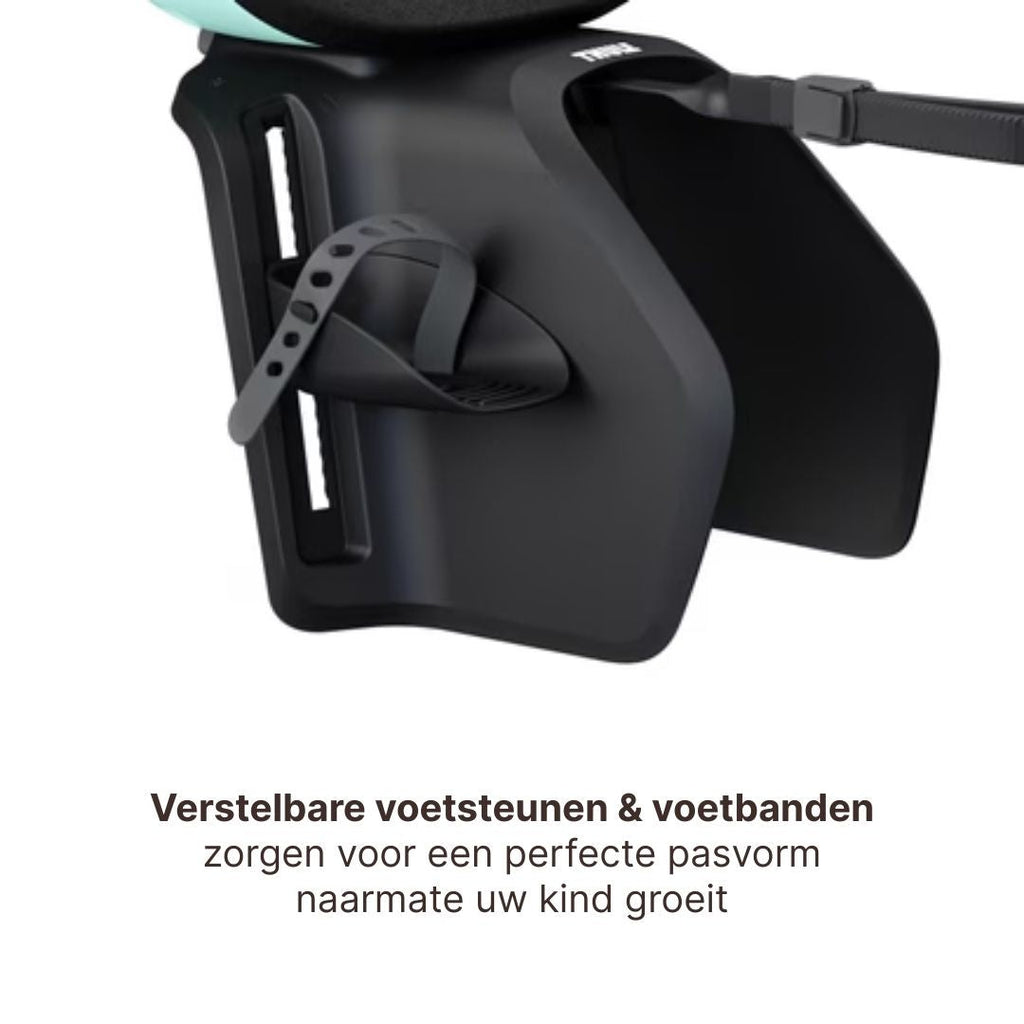 Thule Yepp Nexxt 2 Maxi Fietszitje Fietsstoel Achterop Bagagedrager Montage I Mint Green