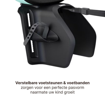 Thule Yepp Nexxt 2 Maxi Fietszitje Fietsstoel Achterop Bagagedrager Montage I Mint Green
