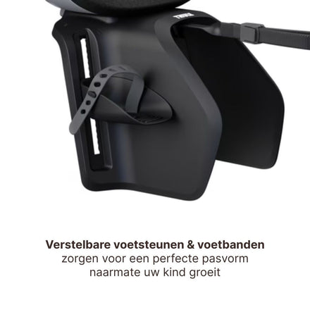 Thule Yepp Nexxt 2 Maxi Fietszitje Fietsstoel Achterop Bagagedrager Montage I Monument Grey