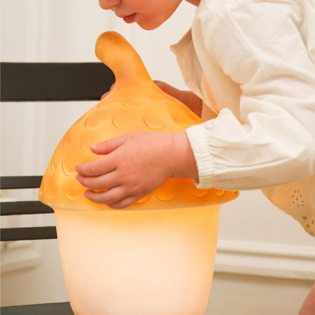 Egmont Toys Nachtlamp Acorn Terra