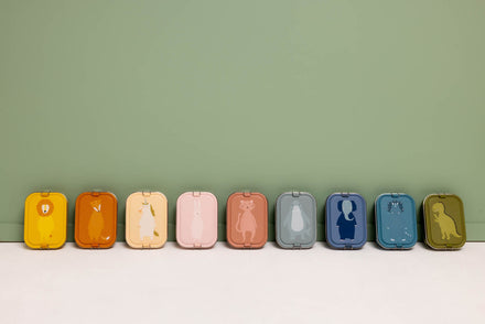 Trixie Lunch Box Large Met Verdeelvakje | Mr. Triceratops