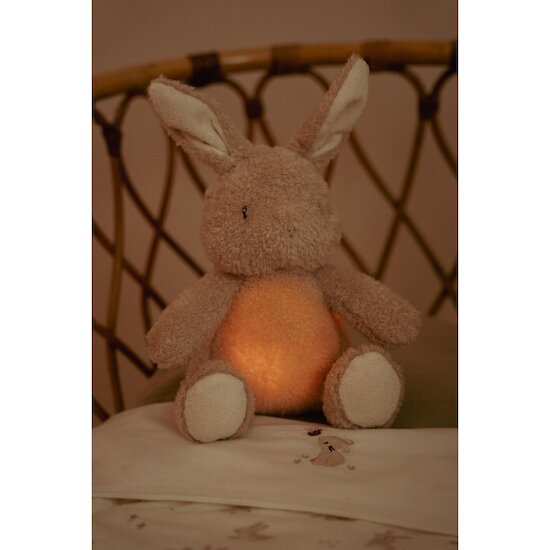 Little Dutch Knuffelkonijn Licht & Geluid
