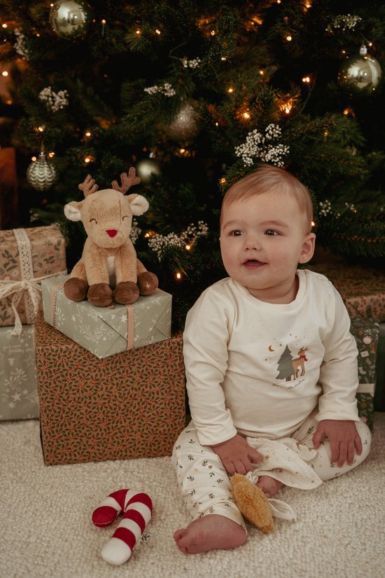Little Dutch Kerst Baby Giftset Neworn GRS