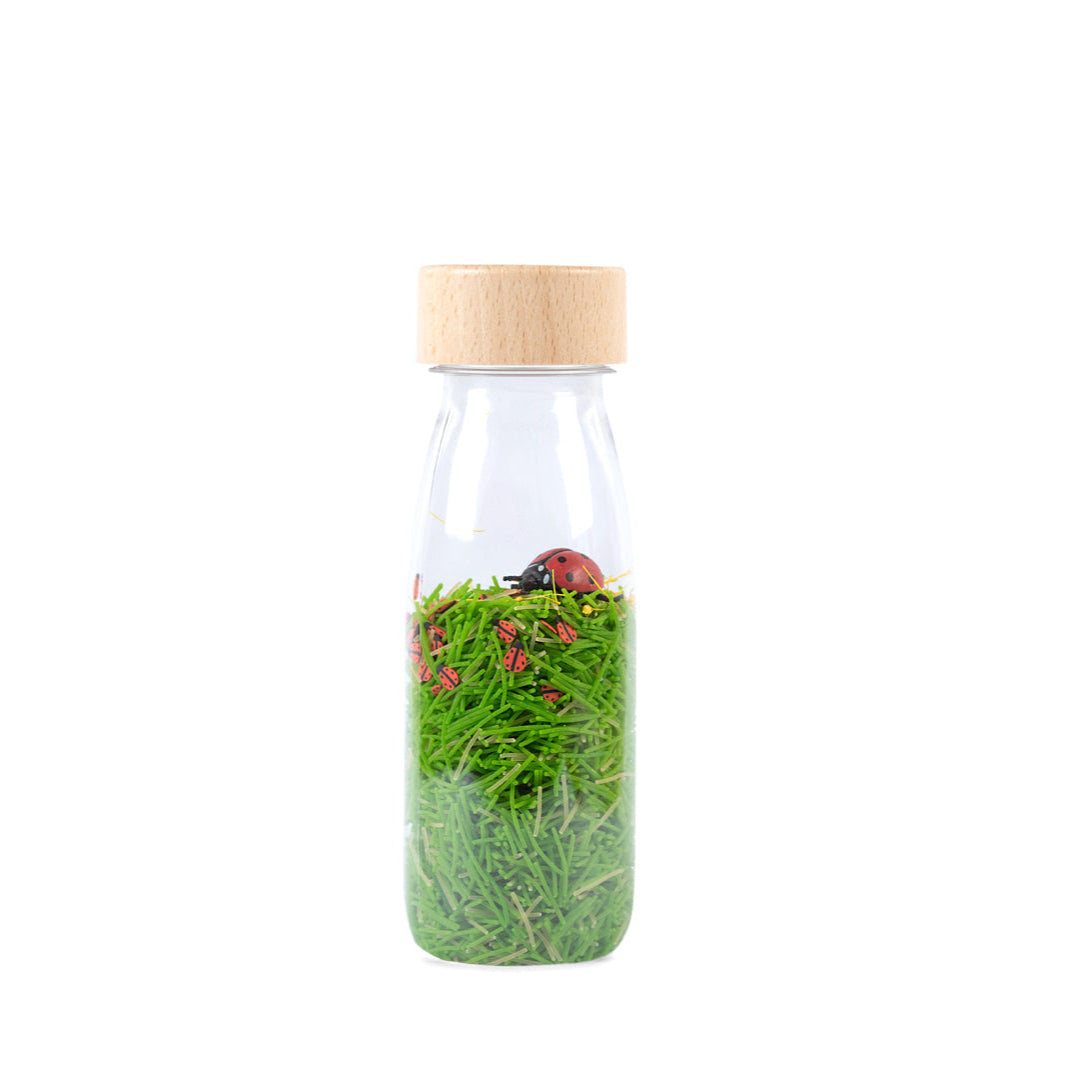 Petit Boum Sensorische Fles | Lieveheersbeestjes