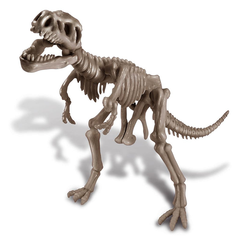 4M Dig A Dinosaur Skeleton I Tyrannosaurus Rex