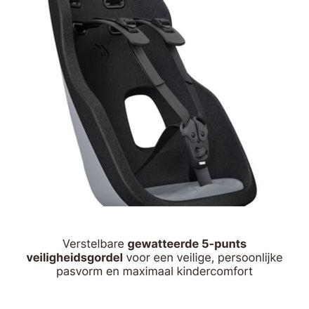 Thule Yepp Nexxt 2 Maxi Fietszitje Fietsstoel Achterop Bagagedrager Montage I Monument Grey