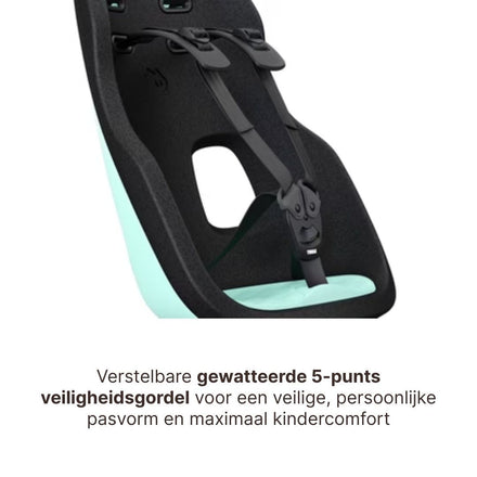 Thule Yepp Nexxt 2 Maxi Fietszitje Fietsstoel Achterop Bagagedrager Montage I Mint Green