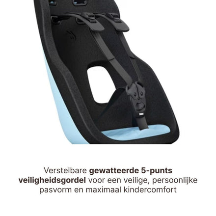 Thule Yepp Nexxt 2 Maxi Fietszitje Fietsstoel Achterop Bagagedrager Montage I Aquamarine