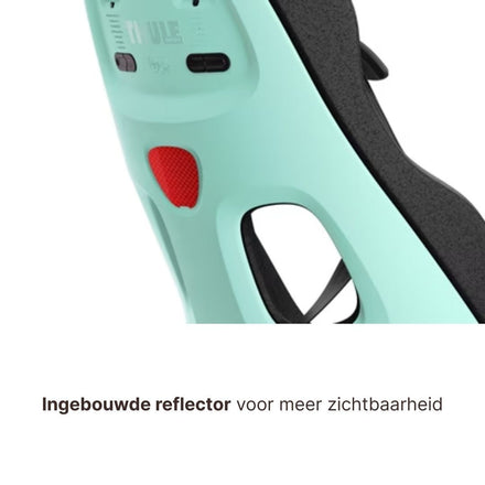 Thule Yepp Nexxt 2 Maxi Fietszitje Fietsstoel Achterop Bagagedrager Montage I Mint Green