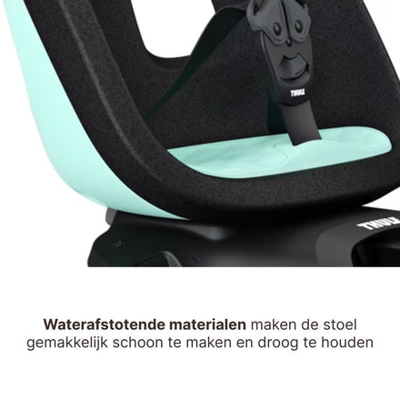 Thule Yepp Nexxt 2 Maxi Fietszitje Fietsstoel Achterop Bagagedrager Montage I Mint Green
