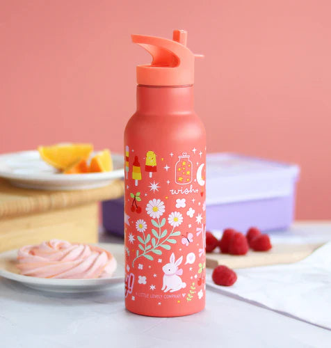 A Little Lovely Company RVS Drinkfles 500ml | Fun