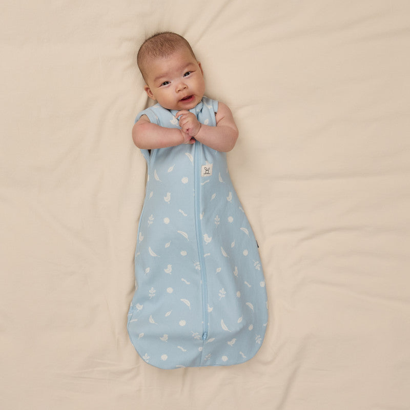 Ergopouch Cocoon Inbaker Slaapzak 0-3M 62cm Tog 2.5 | Ducks