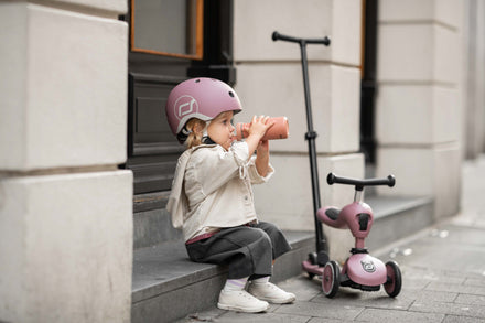 Scoot & Ride Highwaykick 1 Push & Go | Wildberry