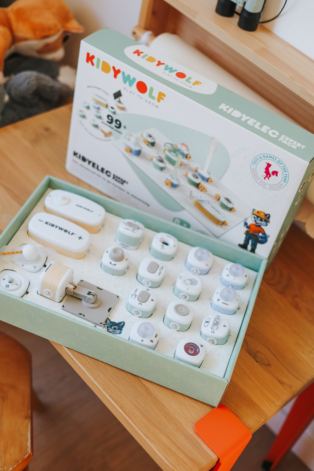Kidywolf Kidyelec-Expert - My First Electricity Kit – 18 Pieces