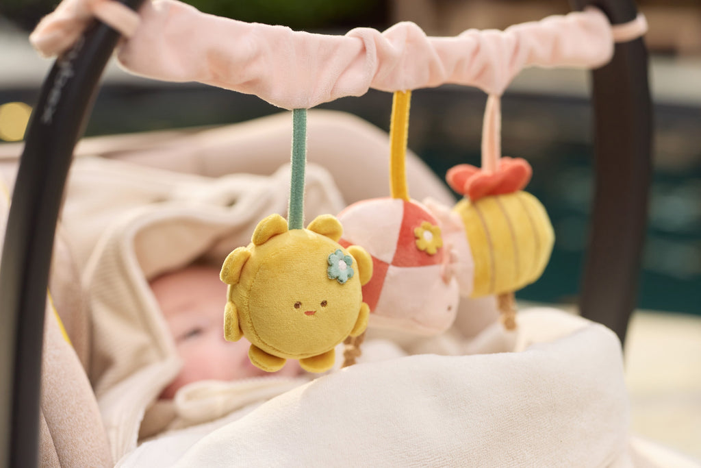 Jollein Wagenspanner Pretty Picnic