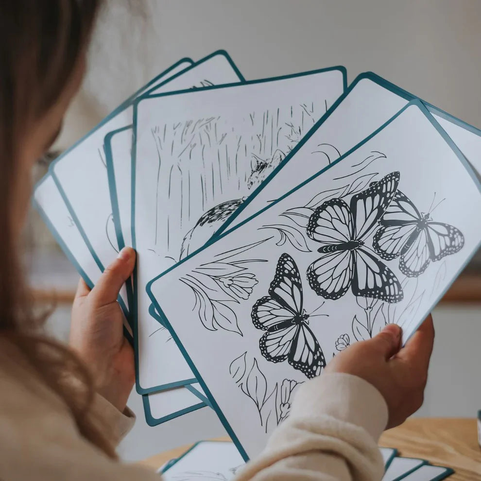 Kidywolf Kidydraw Pad | Animals