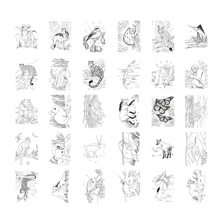 Kidywolf Kidydraw Pad | Animals