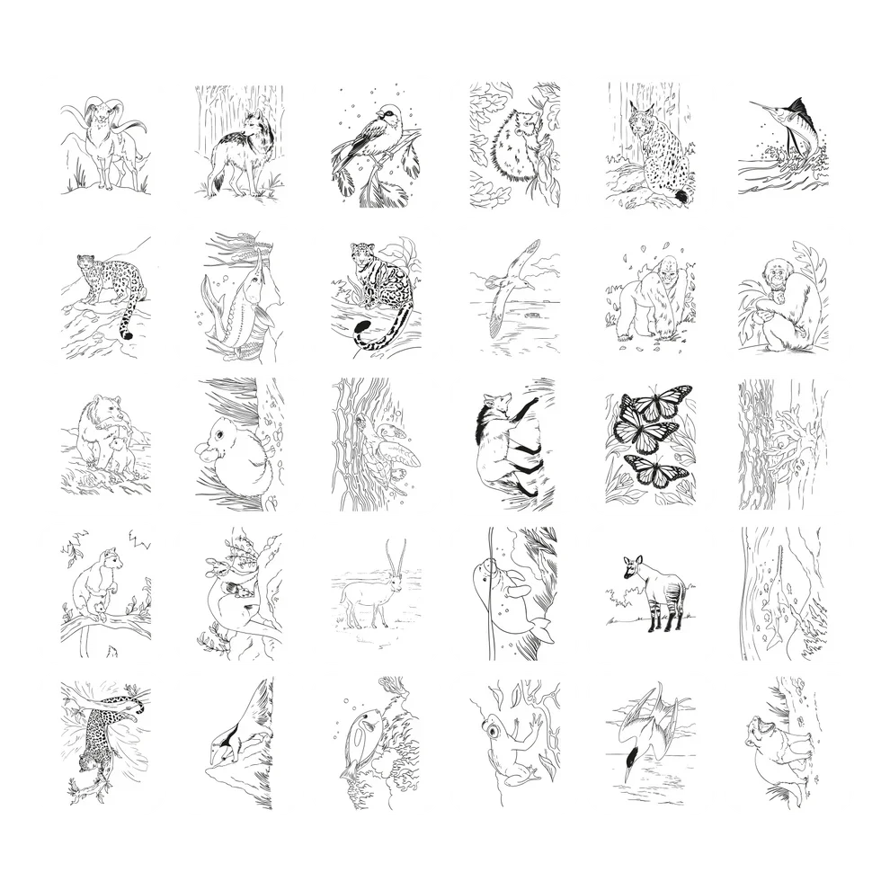 Kidywolf Kidydraw Pad | Animals