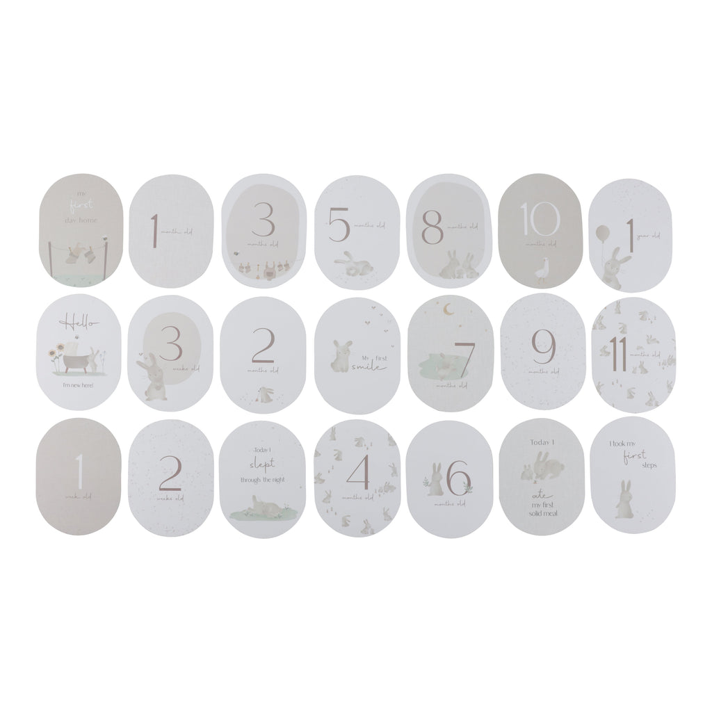 Little Dutch Mijlpaalkaarten | Mijn Eerste Jaar Baby Bunny
