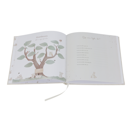 Little Dutch Babyboek | Mijn Eerste Jaar