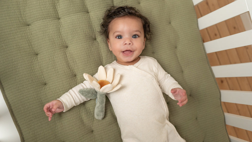 * Little Dutch Rammelaar | Bloem Little Farm