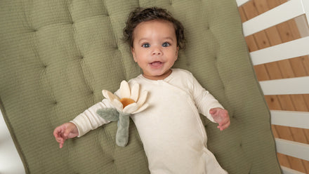 * Little Dutch Rammelaar | Bloem Little Farm