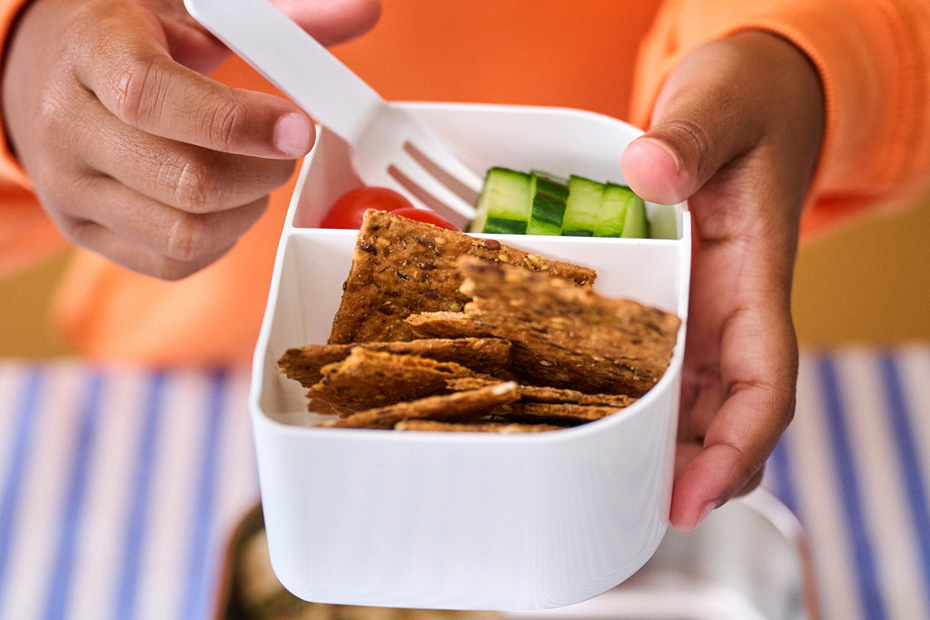 Mepal Little Dutch RVS Bento Lunchbox Campus Met Vakjes | Fairy Wonders