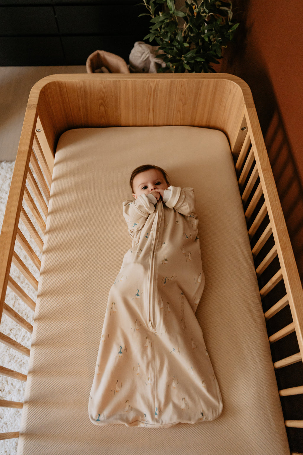 Baby in de Puckababy Bag Newborn Geese met afritsbare mouwen en anti-krabwantjes, De Gele Flamingo